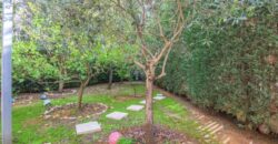 Apartment for Sale in Bsalim