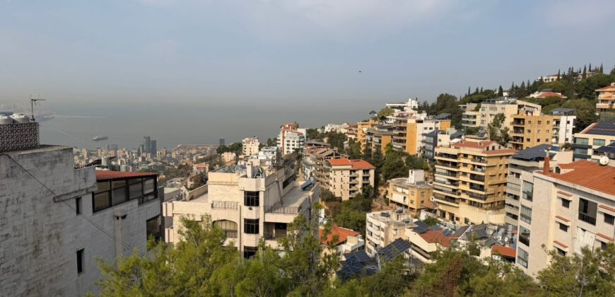 Apartment for Rent in Rabieh/Rabweh