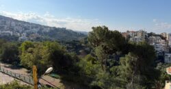 Apartment for Rent in Awkar Bellevue