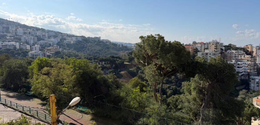 Apartment for Rent in Awkar Bellevue