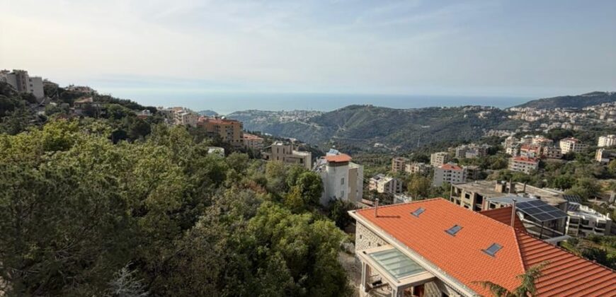 Apartment for Rent in Kornet el Hamra